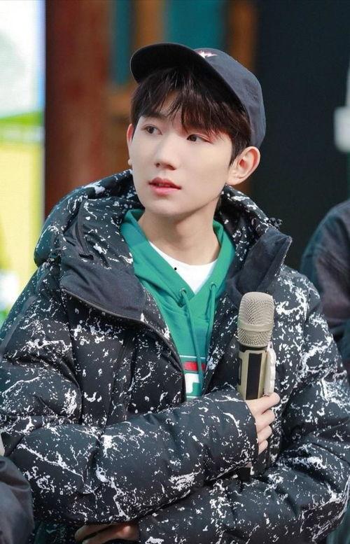 王源近日爆料视频大全最新,揭秘明星幕后生活点滴